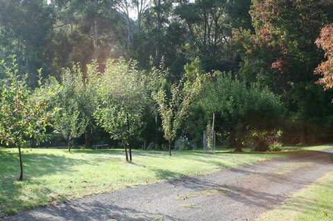 Strathmore Farm B&B - Darwin Tourism 33