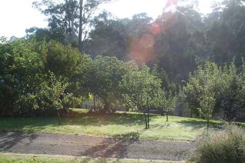 Strathmore Farm B&B - Darwin Tourism 19