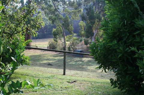 Strathmore Farm B&B - Darwin Tourism 30