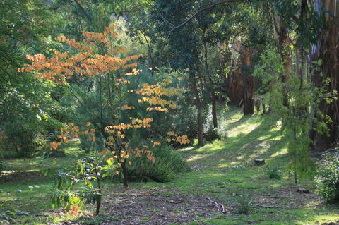 Strathmore Farm B&B - Darwin Tourism 25