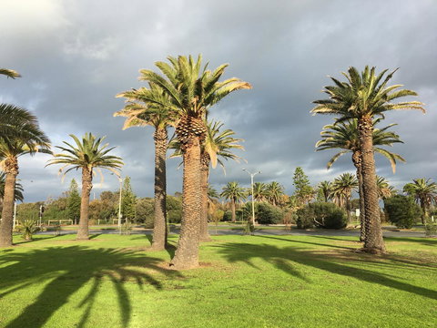 Elwood By The Beach - Darwin Tourism 1