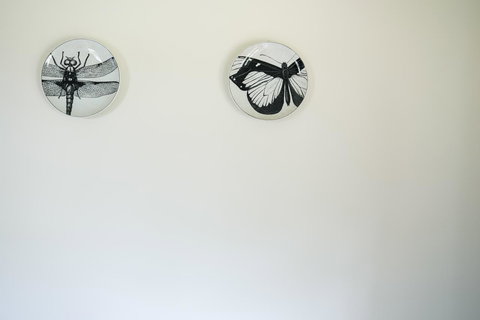 Miss Pym's Cottage - Darwin Tourism 32