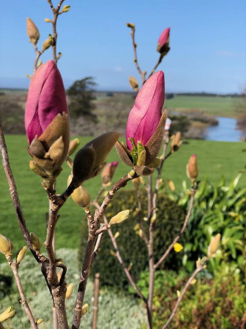 The Granary - Darwin Tourism 3