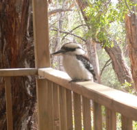 The Ledge Holiday House - Darwin Tourism