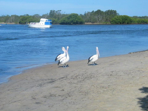 The Ultimate Holiday Retreat - Darwin Tourism 1