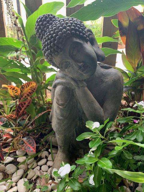 Tranquil Spa Retreat - Darwin Tourism 3