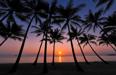 Tranquility Relax Palm Cove - Darwin Tourism 1