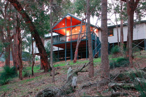 Treehouse - 3 Acre Elevated Nature Setting - Darwin Tourism 3