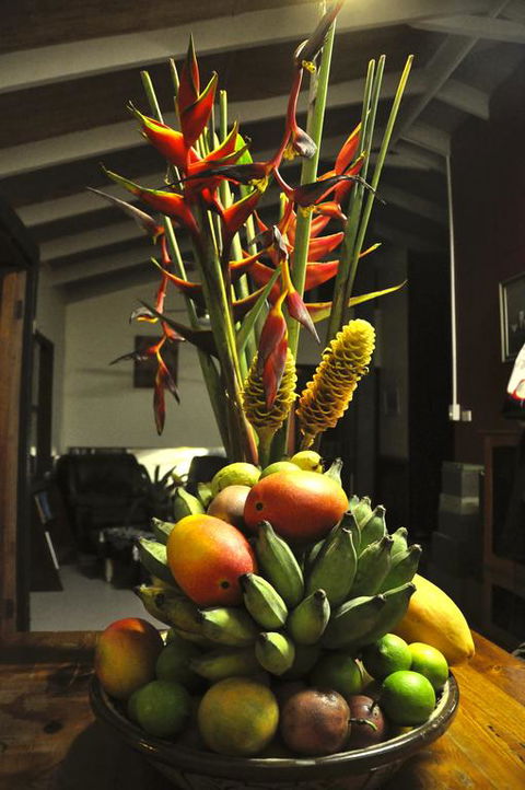 Tropical Bliss Bed And Breakfast - Darwin Tourism 3