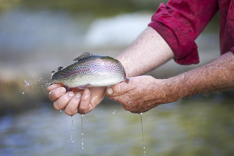 Tuki Retreat - Darwin Tourism 2