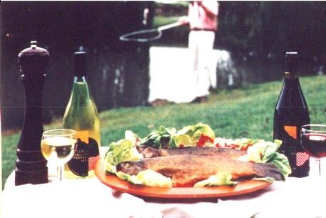 Tuki Retreat - Darwin Tourism 3