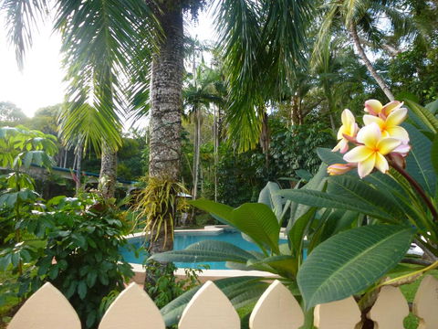 Villa Marine Holiday Apartments Cairns - Darwin Tourism 1