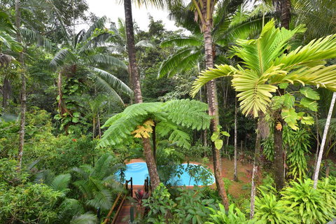 Wait A While Daintree - Darwin Tourism 3