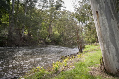 Oscar\'s On The Yarra - Darwin Tourism 23