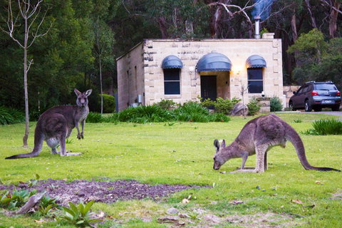 Marwood Villas - Darwin Tourism 0