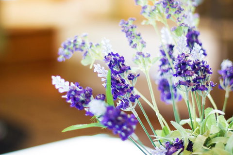 Marwood Villas - Darwin Tourism 7