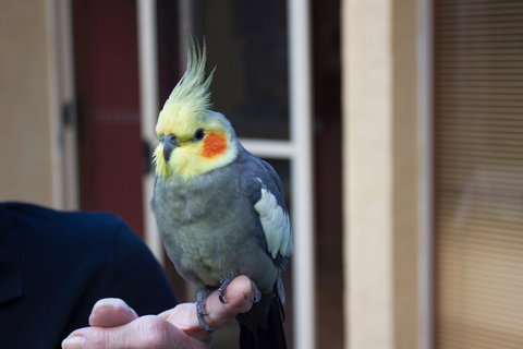 Marwood Villas - Darwin Tourism 33