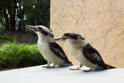 Marwood Villas - Darwin Tourism 13