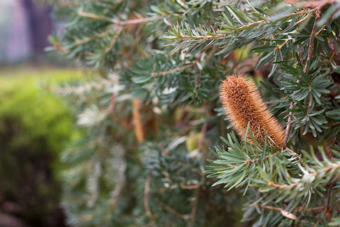 Marwood Villas - Darwin Tourism 34