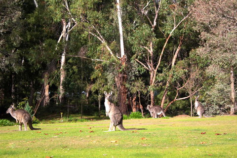 Marwood Villas - Darwin Tourism 28