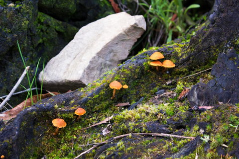 Marwood Villas - Darwin Tourism 29