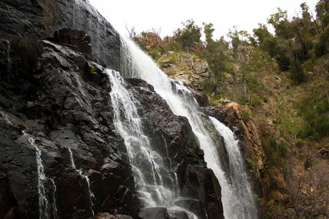 Marwood Villas - Darwin Tourism 38