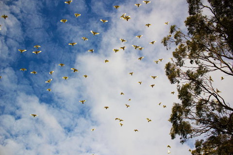 Marwood Villas - Darwin Tourism 26