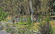 Main Lead Ballarat Motel - thumb 5