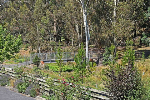 Main Lead Ballarat Motel - Darwin Tourism 5