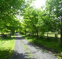 Australian Home Away  Wonga Park Brushy Creek - Darwin Tourism