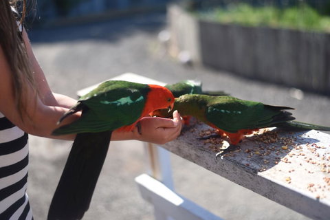 Seacroft Estate - Darwin Tourism 13