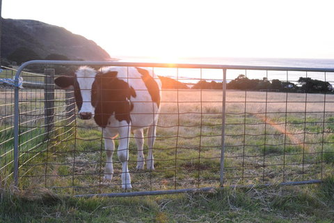 Seacroft Estate - Darwin Tourism 19