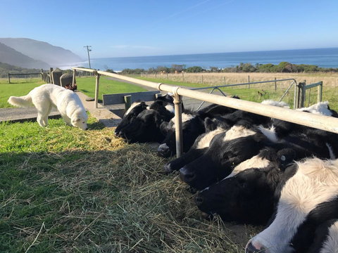 Seacroft Estate - Darwin Tourism 5