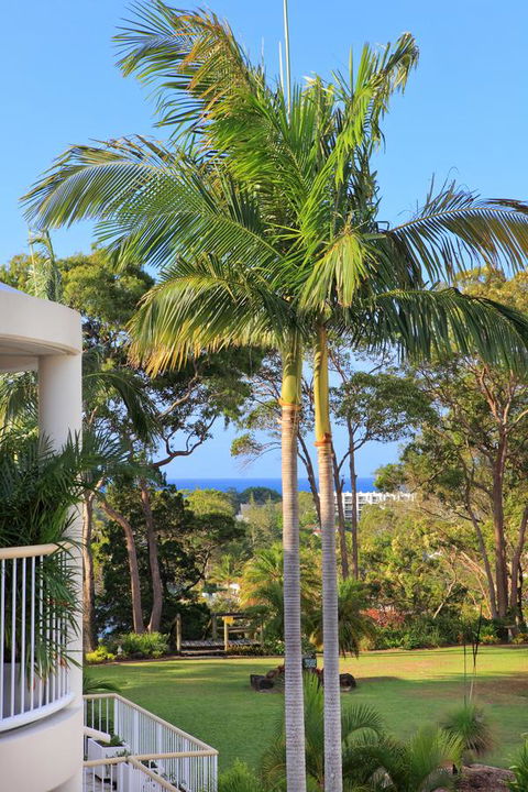 Serenity Apartments Noosa - Darwin Tourism 14