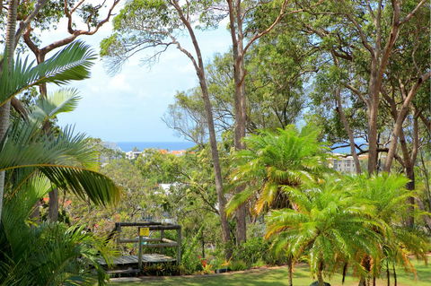 Serenity Apartments Noosa - Darwin Tourism 1