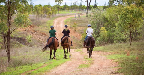 Ironbark House - Darwin Tourism 22