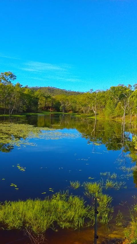 Ironbark House - Darwin Tourism 21