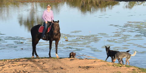 Ironbark House - Darwin Tourism 39