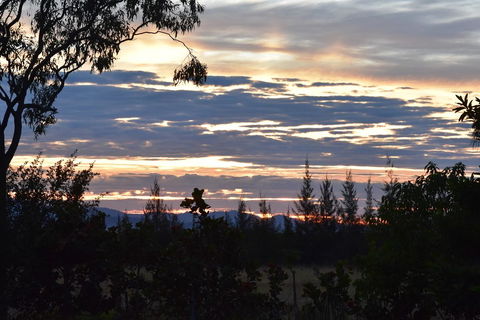 Ironbark House - Darwin Tourism 40