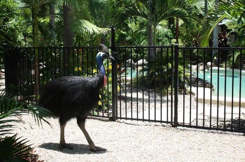 Boutique Bungalows - Darwin Tourism 15