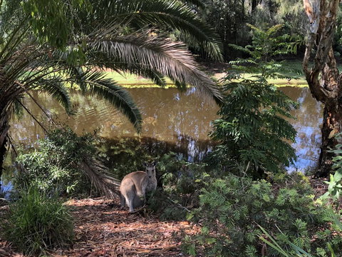 Waterfront Resort Villa With Buggy - Darwin Tourism 25