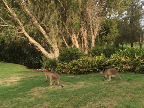 Waterfront Resort Villa With Buggy - Darwin Tourism 19