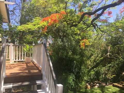 Halcyon On Bardon - Darwin Tourism 7