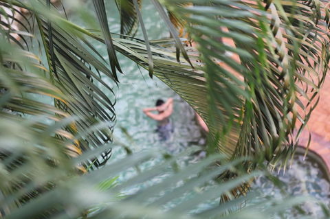 Coral Tree Inn - Darwin Tourism 36