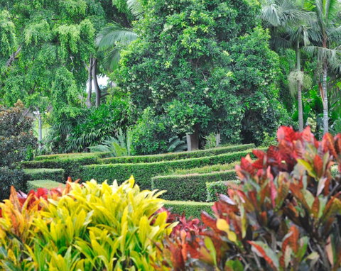 Soho Brisbane - Darwin Tourism 3