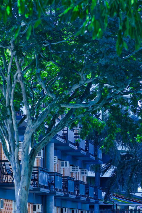 Soho Brisbane - Darwin Tourism 12
