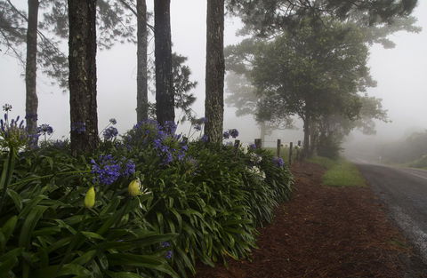 Bower 63 - Darwin Tourism 26