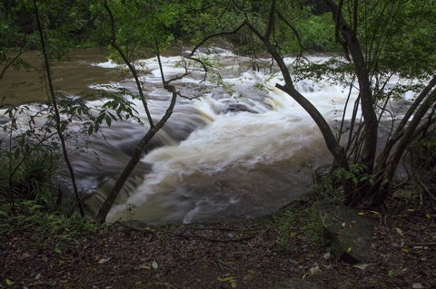 Bower 63 - Darwin Tourism 24