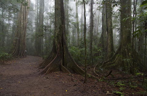Bower 63 - Darwin Tourism 38