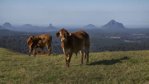 Bower 63 - Darwin Tourism 29